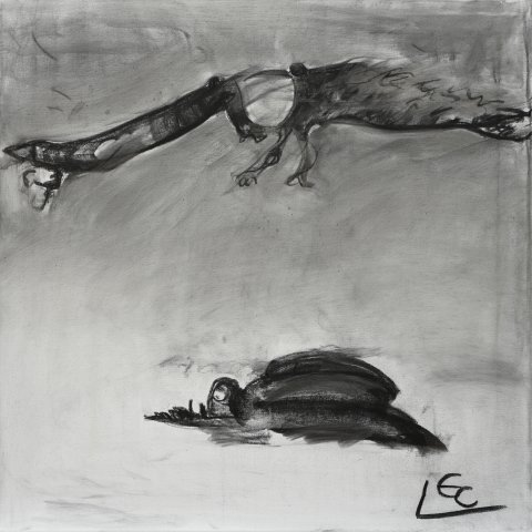 EK0160_60x60